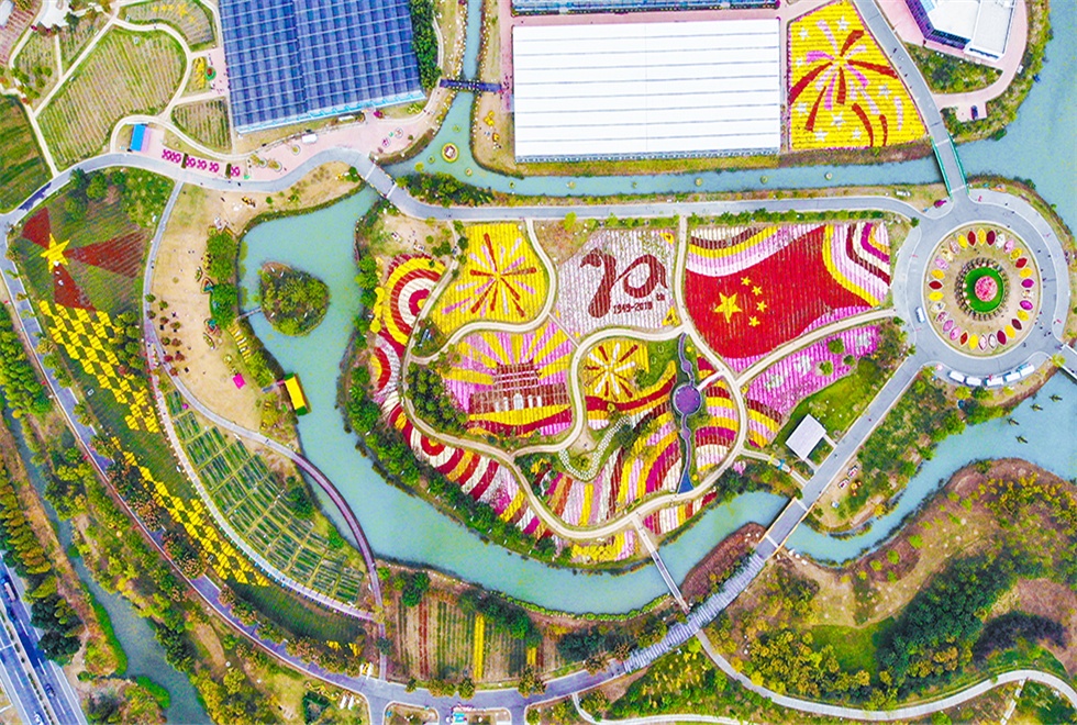 武汉白马湖·菊花展