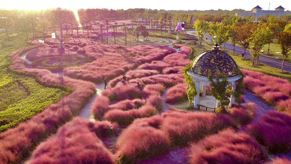 首页-玉祥集团迎接您